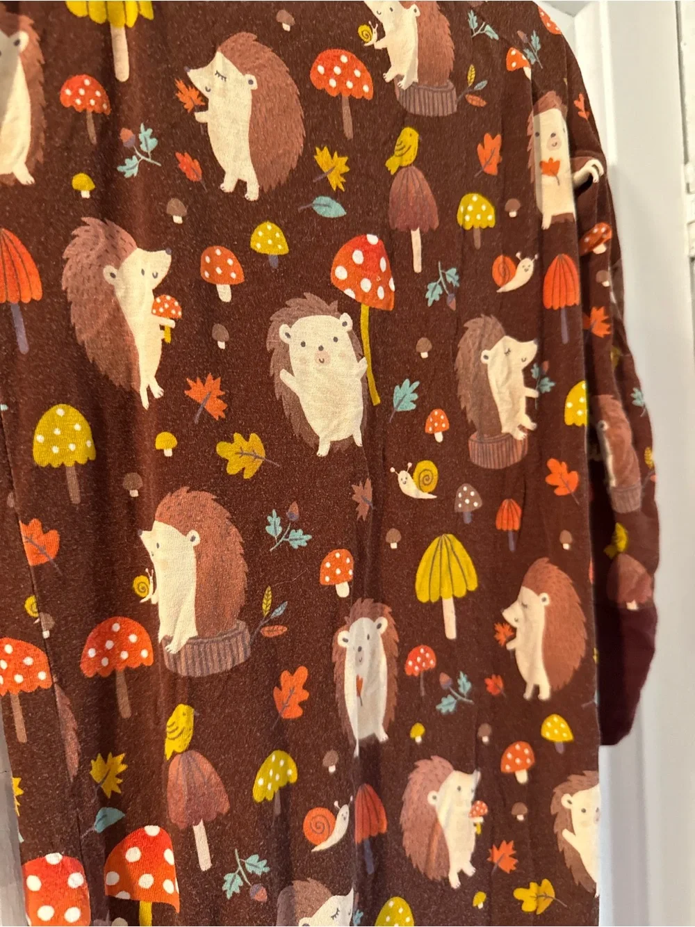 Little Sleepies zippy footie pajamas - Hedgehog